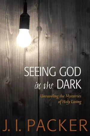 Seeing God in the Dark: Unraveling the Mysteries of Holy Living