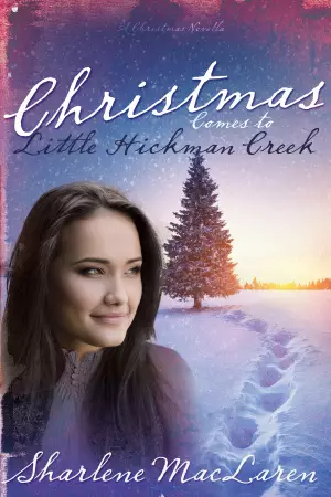 Christmas Comes To Little Hickman Creek Paperback Book
