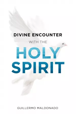 Divine Encounter With The Holy Spirit