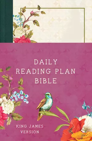Daily Reading Plan Bible [Nightingale]