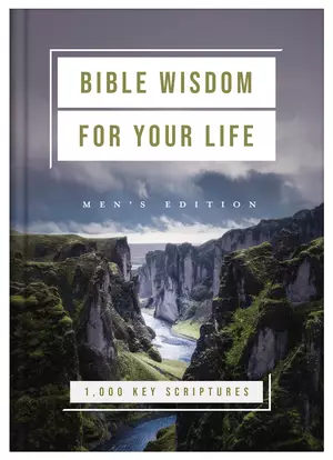 Bible Wisdom for Your Life: Men's Edition