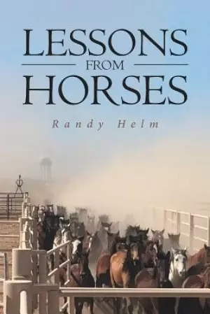 Lessons from Horses