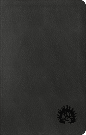 ESV Reformation Study Bible, Condensed Edition - Charcoal, Leather-Like