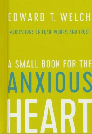 Cover of A Small Book for the Anxious Heart: Meditations on Fear, Worry, and Trust