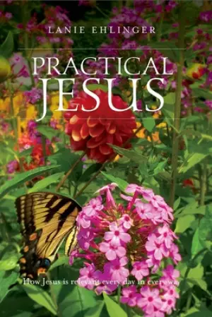 Practical Jesus: How Jesus is relevant every day in every way.
