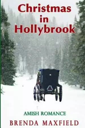 Christmas in Hollybrook: Amish Romance