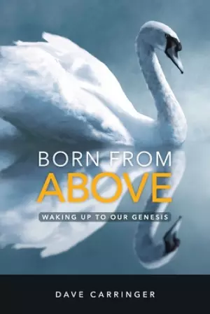 BORN FROM ABOVE: Waking Up to Our Genesis