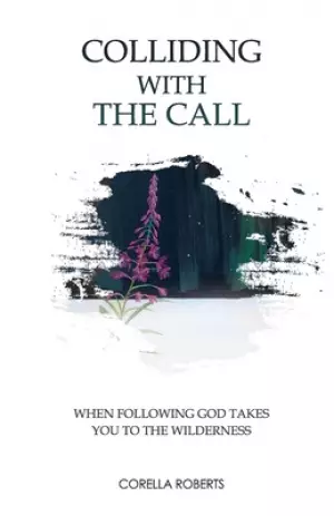 Colliding with the Call: When Following God Takes You to the Wilderness