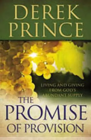 Promise Of Provision