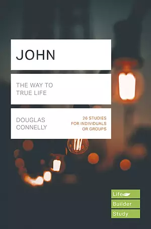 Lifebuilder Bible Study: John