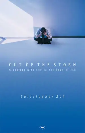 3D Packshot of Out of the Storm