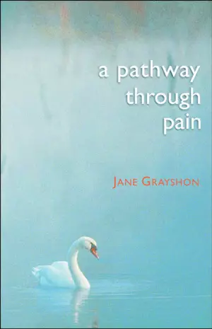 Pathway Through Pain
