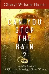 Can You Stop the Rain?: A Candid Look at a Christian Marriage Gone Wrong