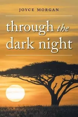 Through The Dark Night