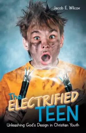 The Electrified Teen: Unleashing God's Design in Christian Youth