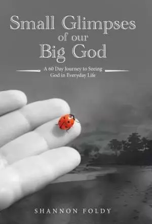 Small Glimpses of Our Big God: A 60 Day Journey to Seeing God in Everyday Life