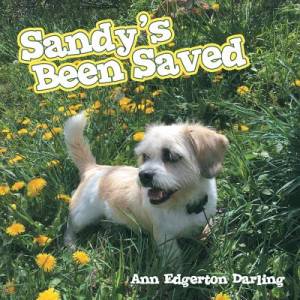 Sandy\'s Been Saved