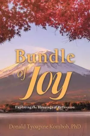Bundle of Joy: Exploring the Blessings of Reflection