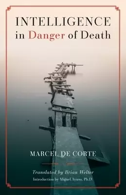 Intelligence in Danger of Death (English edition)