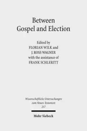 Between Gospel and Election: Explorations in the Interpretation of Romans 9-11