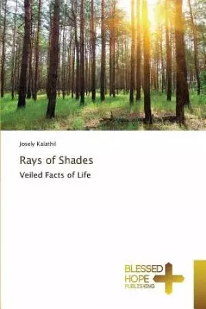 Rays of Shades