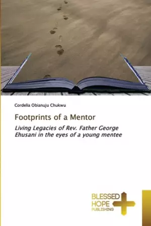 Footprints of a Mentor