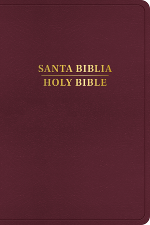 RVR 1960/KJV Biblia bilingüe, borgoña imitación piel (2024 ed.)