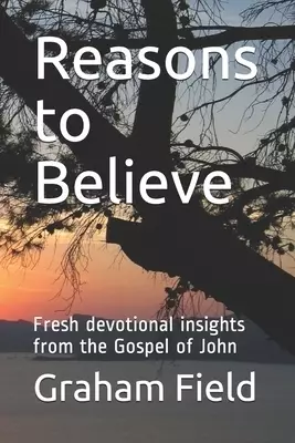 Reasons to Believe: Fresh devotional insights from the Gospel of John