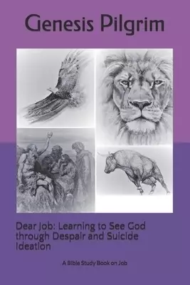 Dear Job: Learning to See God through Despair and Suicide Ideation: A Bible Study Book on Job