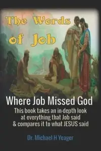 The Words of Job: Where Job Missed God