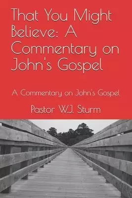 That You Might Believe, A Commentary on John's Gospel