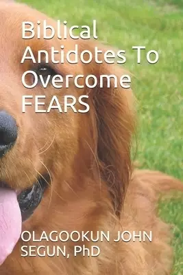 Biblical Antidotes To Overcome Fears