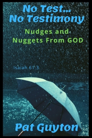 No Test No Testimony: Nudges and Nuggets from God