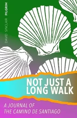 Not Just a Long Walk: A Journal of the Camino de Santiago