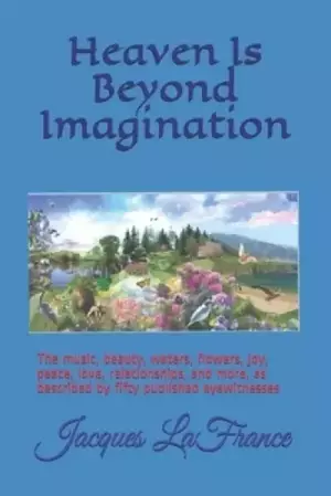 Heaven Is Beyond Imagination: The music, beauty, waters, flowers, joy, peace, love, relationships, and more, described by fifty published eyewitness