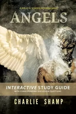 Angels Workbook: A Biblical School of Living Light