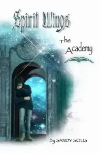 The Academy: Spirit Wings - Book One