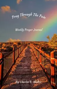 Pray Through the Pain: Weekly Prayer Journal