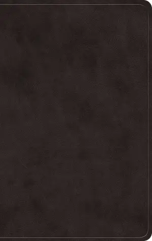 ESV Giant Print Value Personal Size Bible (TruTone, Black)