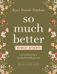 So Much Better Bible Study with Streaming Video Access