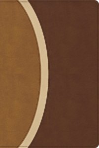 CSB Rainbow Study Bible, Brown Leathertouch