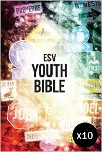 ESV Anglicised Youth Bible - Pack of 10