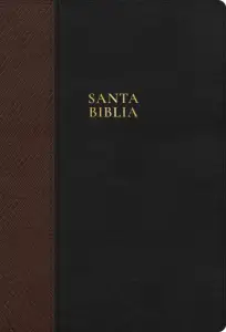 RVR 1960 Biblia Letra Supergigante, Negro, SíMil Piel
