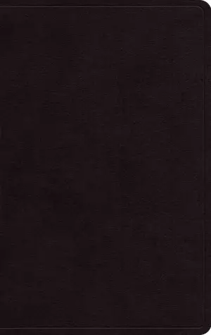 ESV Giant Print Personal Size Bible, Red Letter (Genuine Leather, Black)