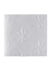 Pack of 50 Gluten Free Communion Wafers 1" x 1" People's Altar Bread - Square