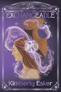 The Soul Exchange: Exchangeable
