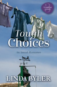 Tough Choices: An Amish Romance