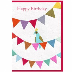 Party Bird