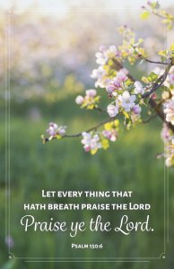 General Worship Bulletin: Let Every Thing (Package of 100)