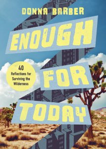 Enough for Today: Forty Reflections for Surviving the Wilderness